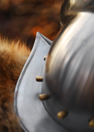 comb_morion.jpg