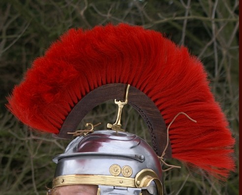 cresta_rossa_longi_legno